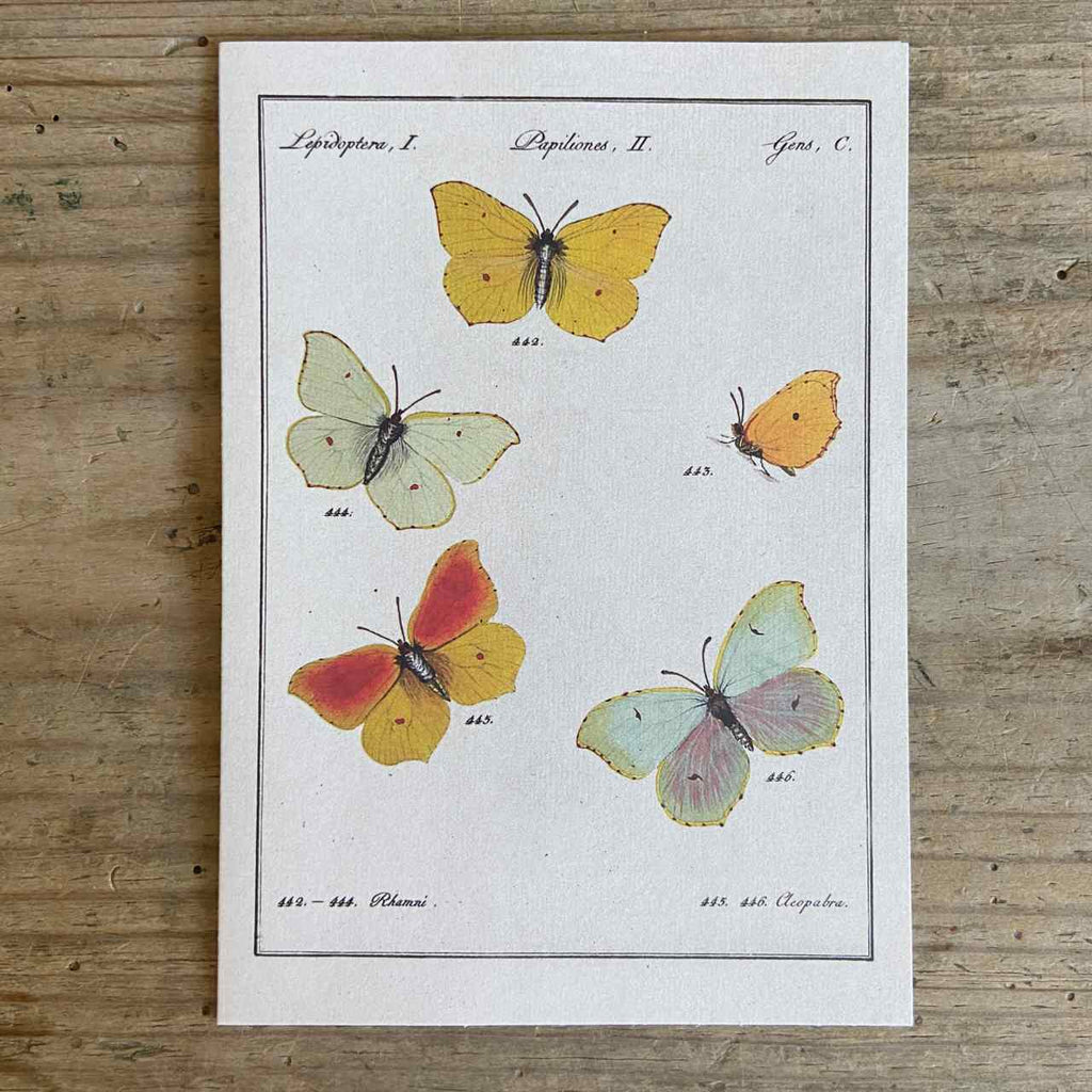 Vintage Greeting Card - Yellow Butterfly