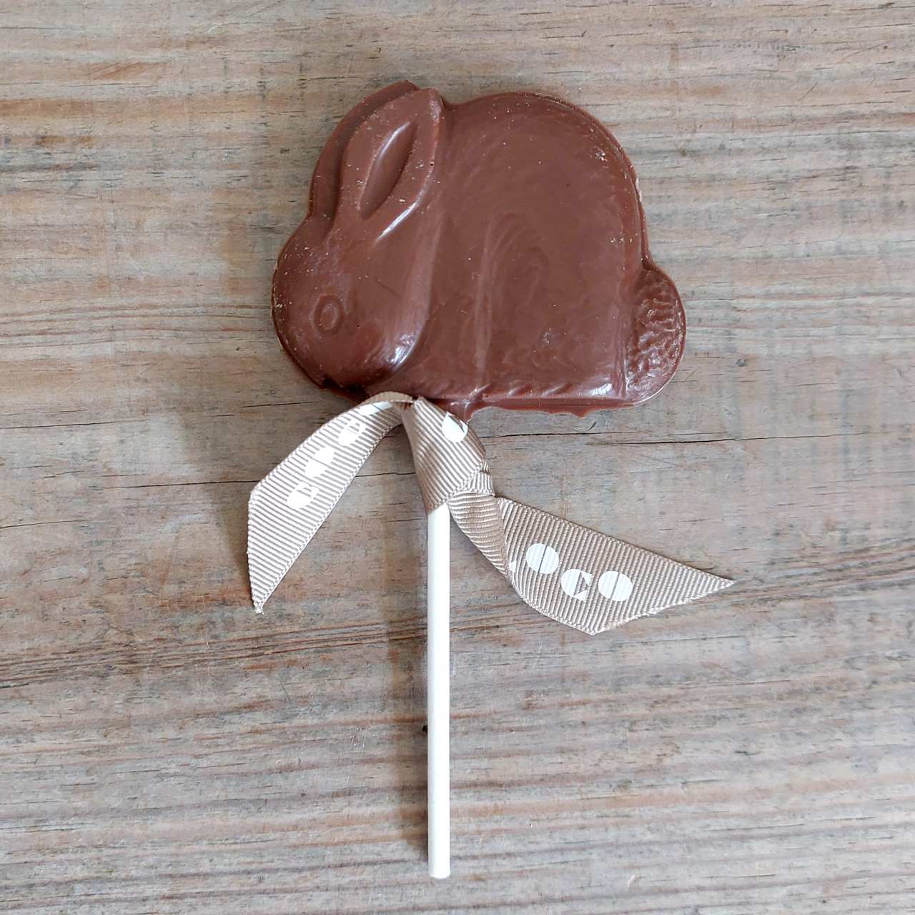 Chocolate bunny lolly Easter