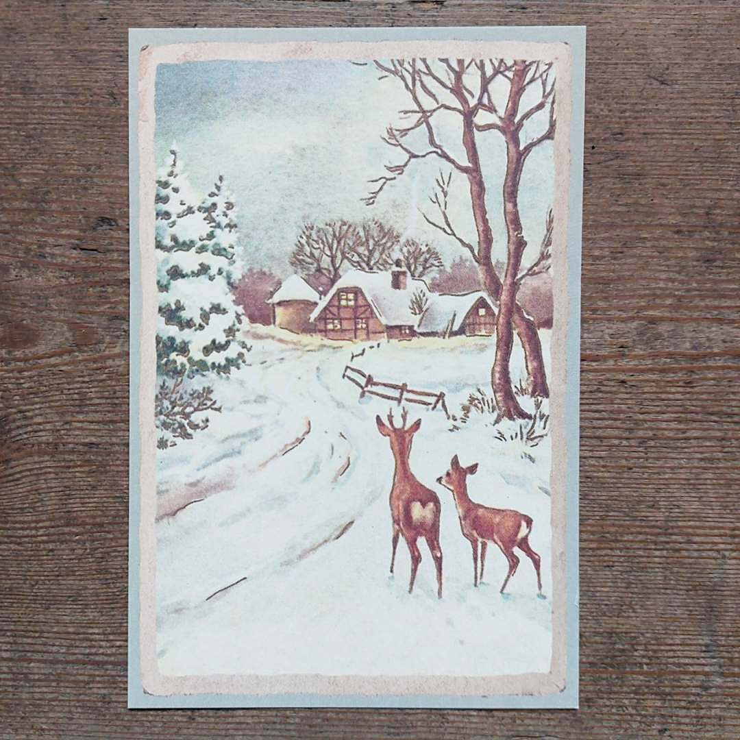 Vintage Christmas Postcard - Deer
