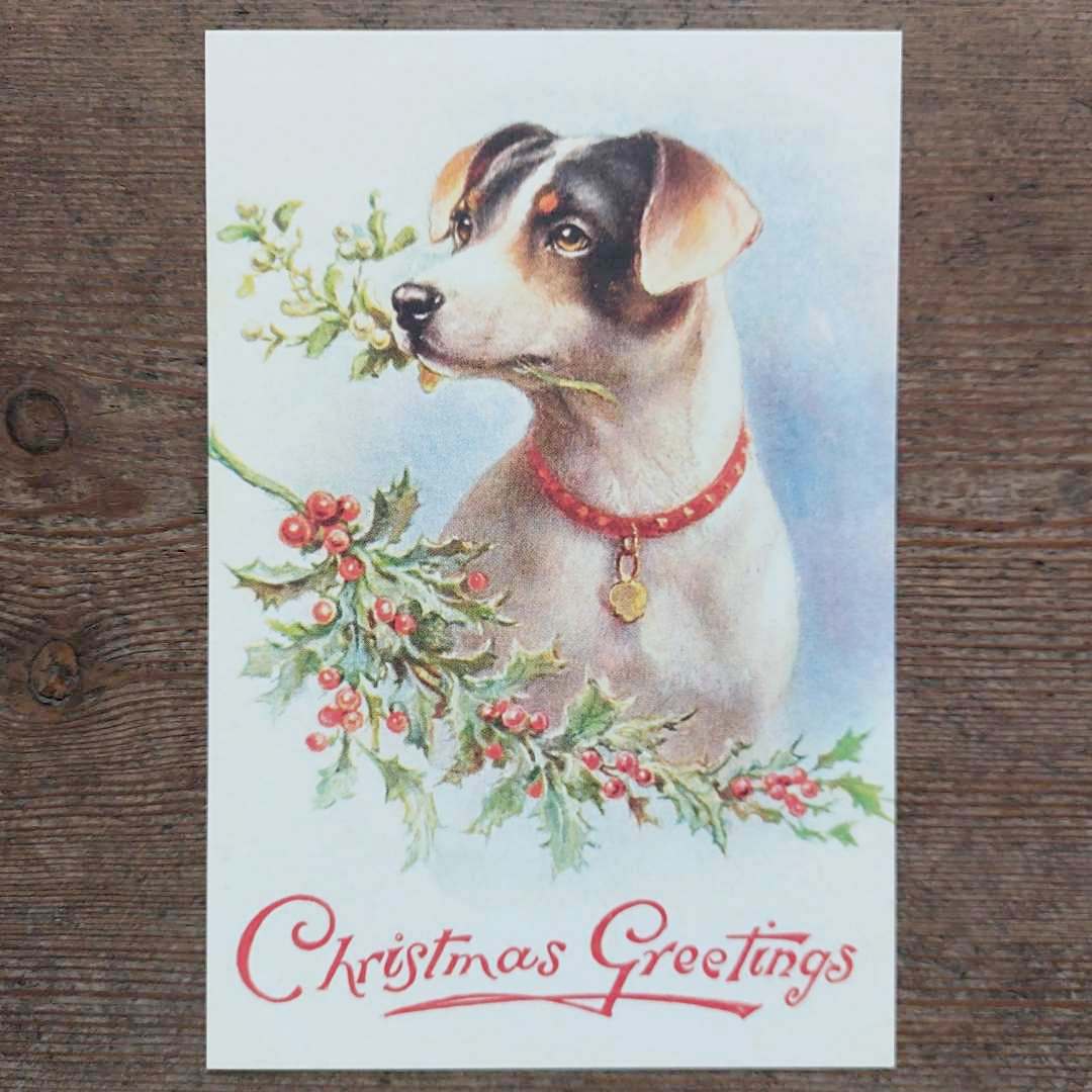 Vintage Christmas Postcard - Jack Russel
