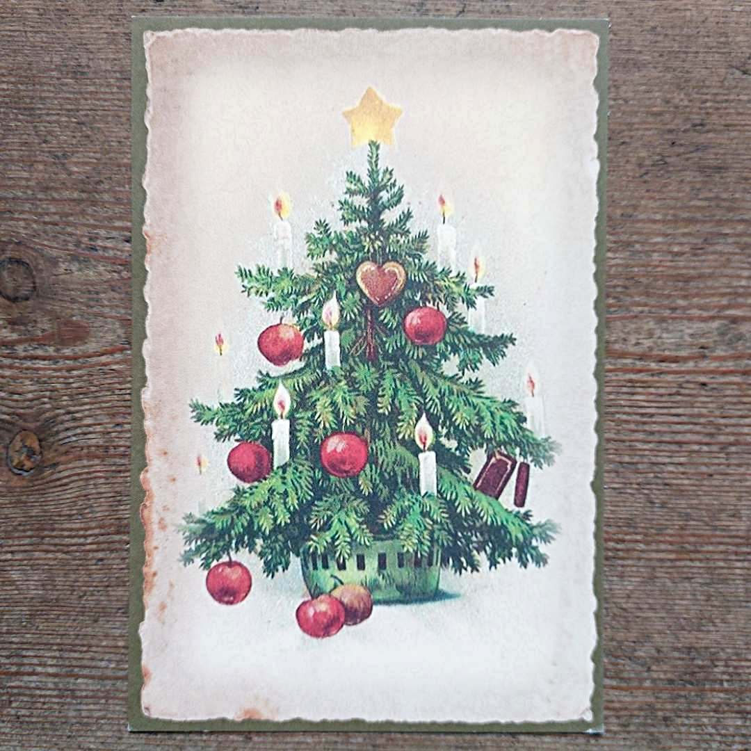 Vintage Christmas Postcard - Christmas Tree