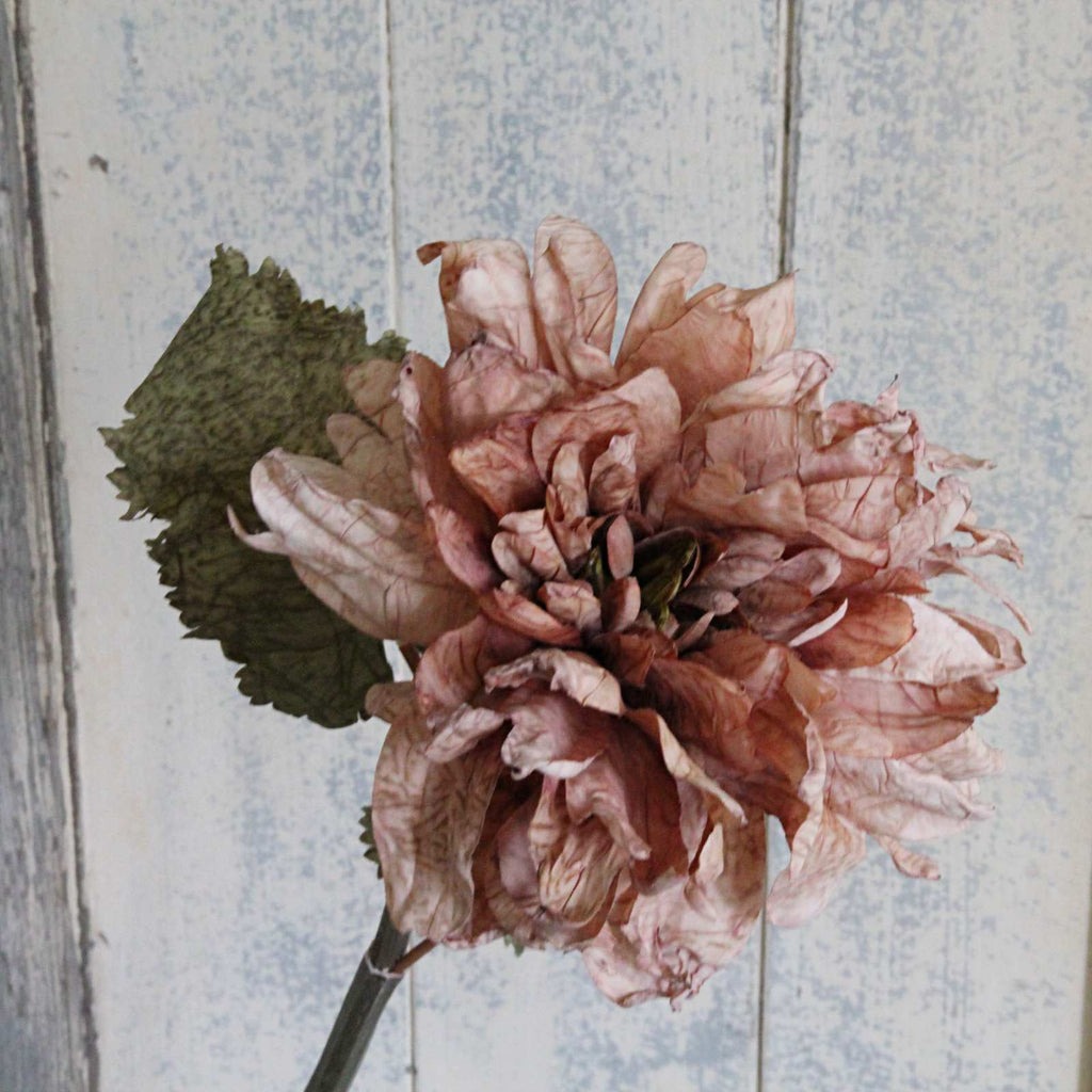 Silk Flower - Dried Dahlia - Antique Blush