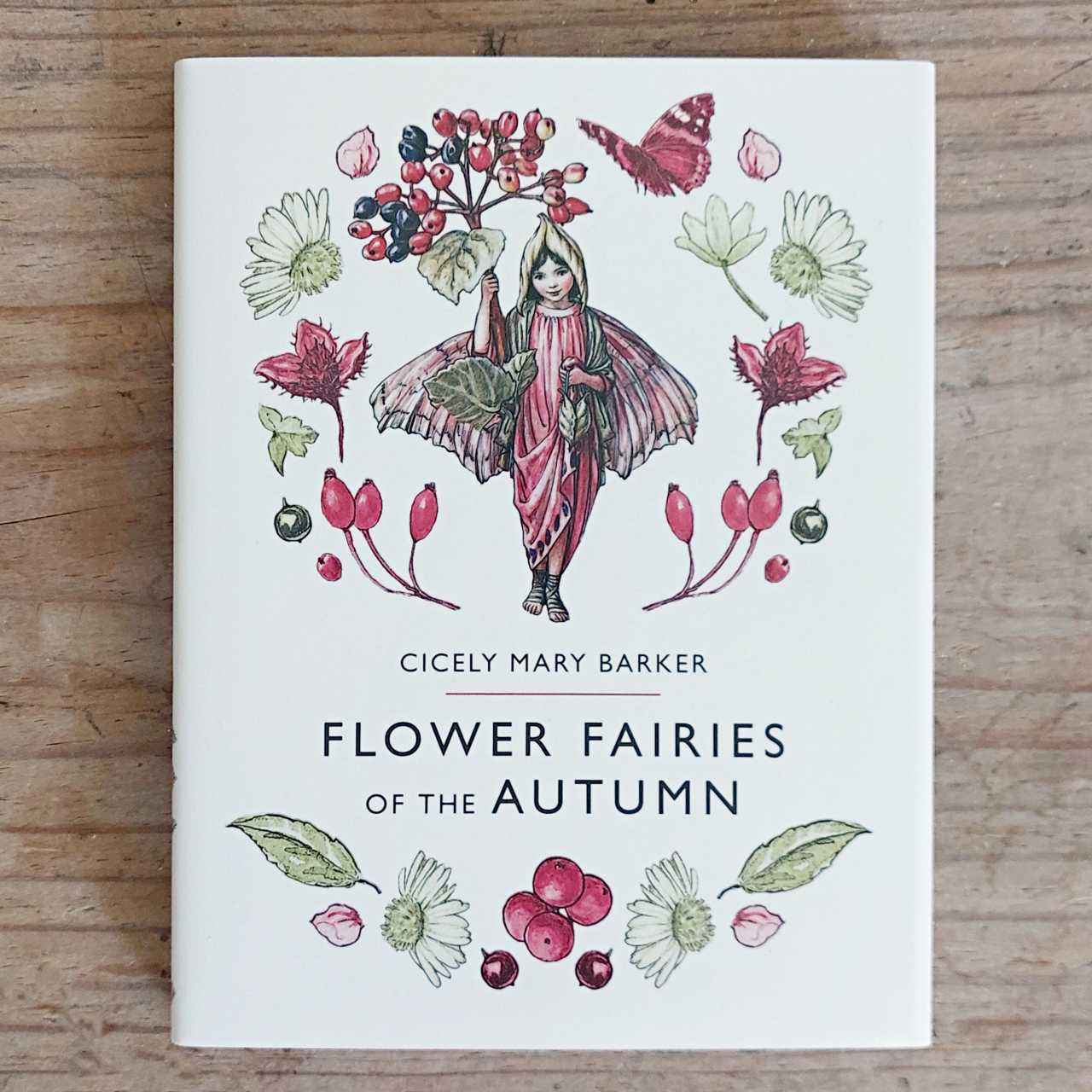 Flower Fairies of The Autumn by Cecily Mary Barker