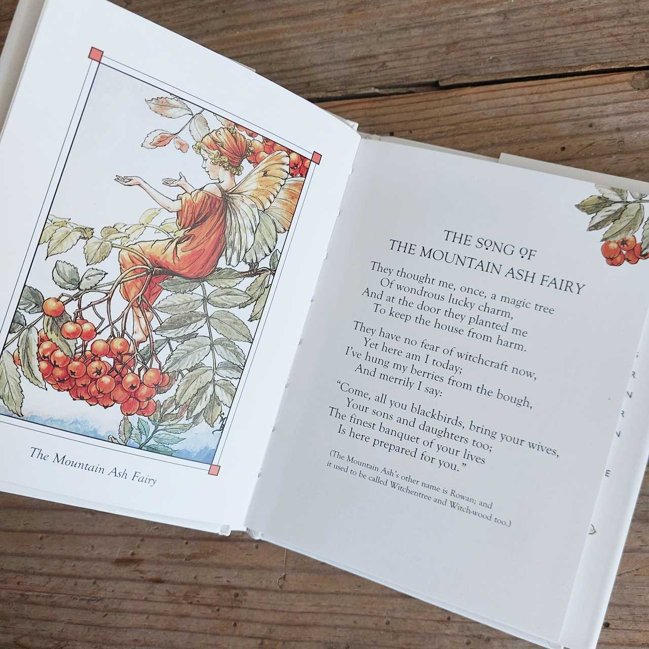 Flower Fairies of The Autumn by Cecily Mary Barker