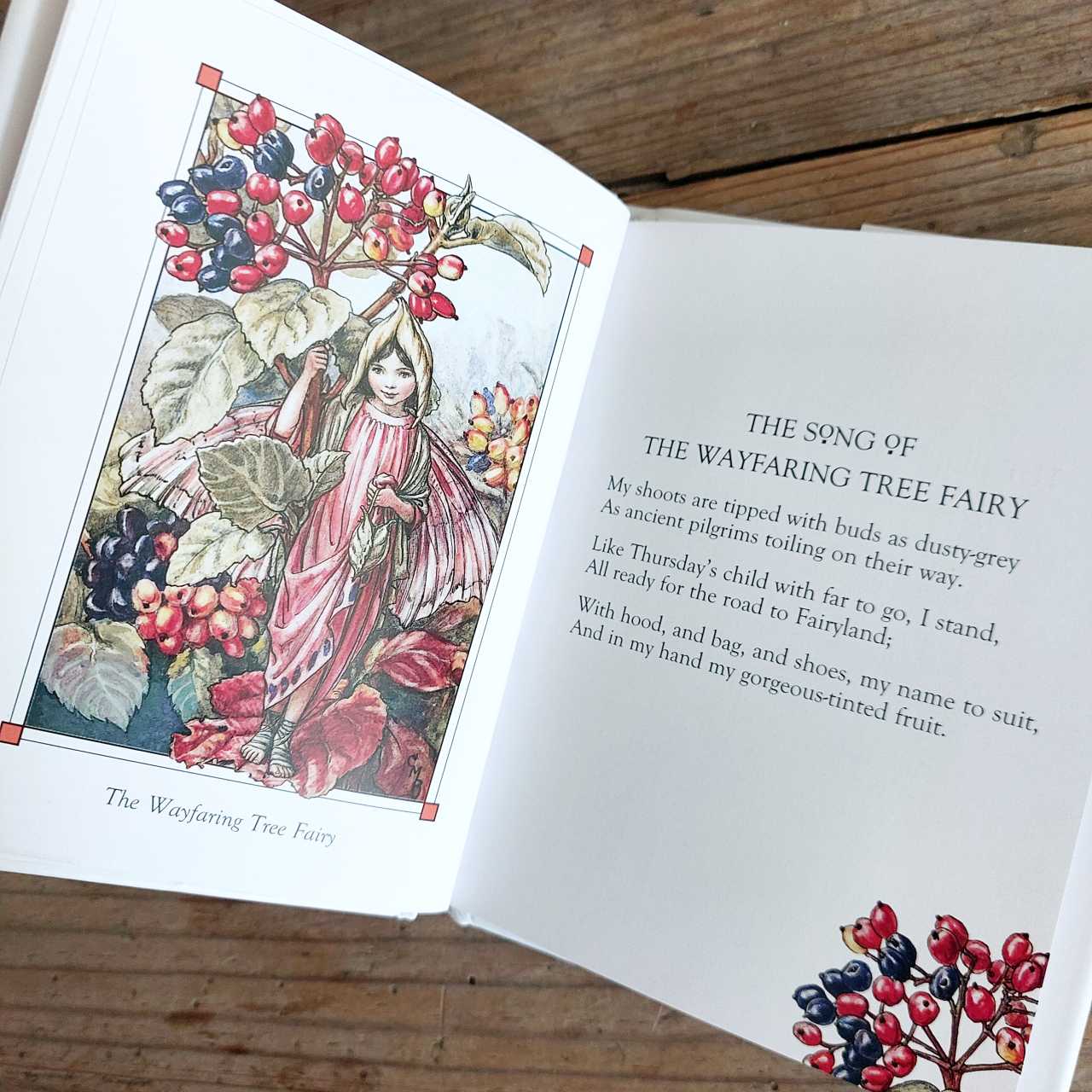 Flower Fairies of The Autumn by Cecily Mary Barker