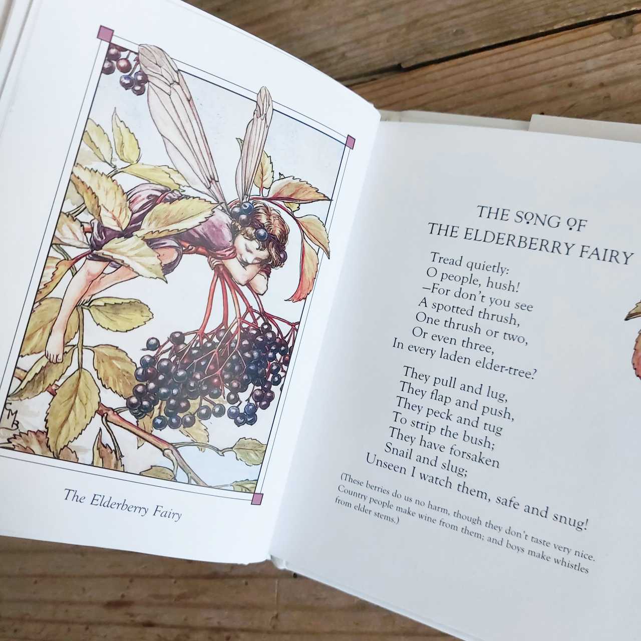 Flower Fairies of The Autumn by Cecily Mary Barker