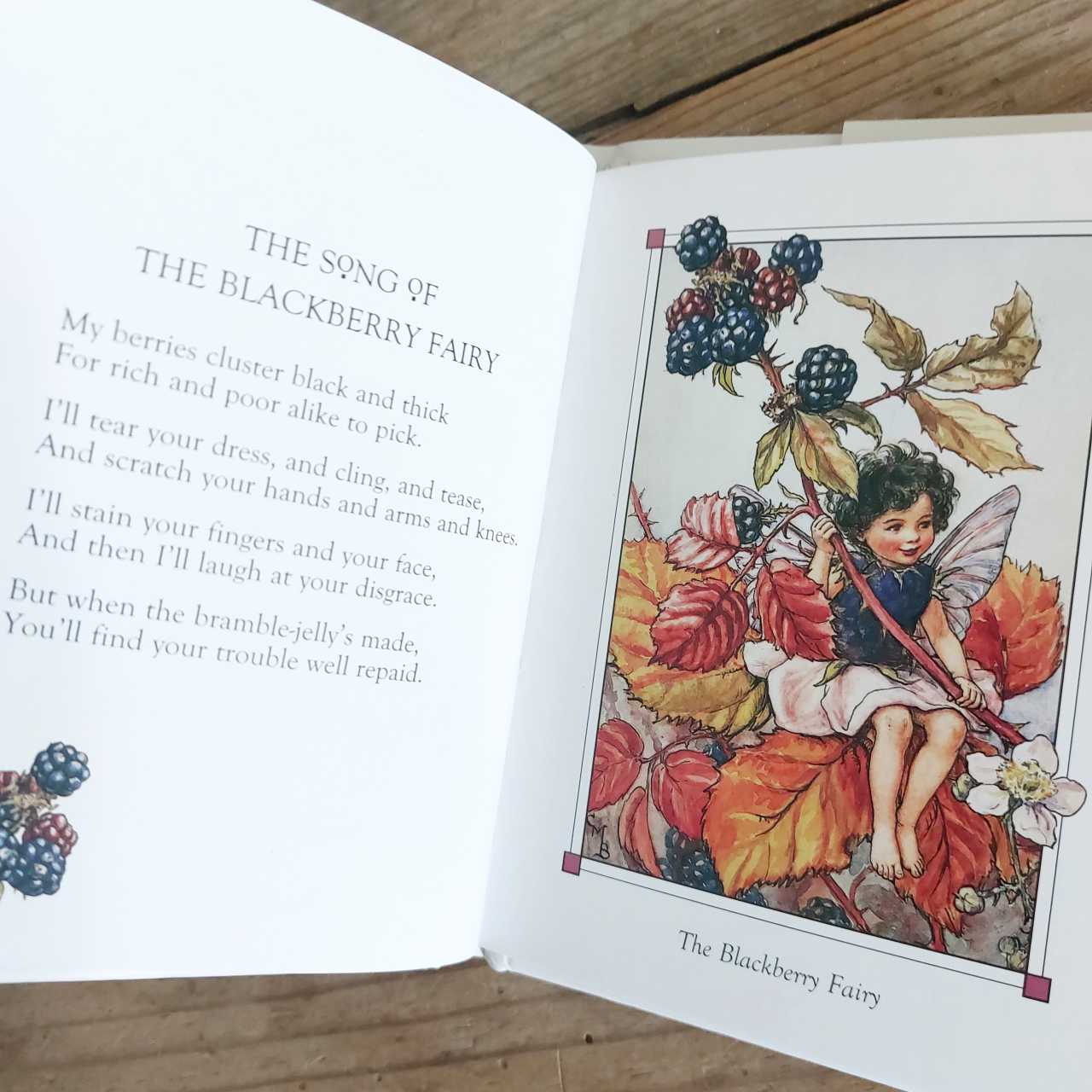 The Blackberry Fairy - Flower Fairies of The Autumn by Cecily Mary Barker