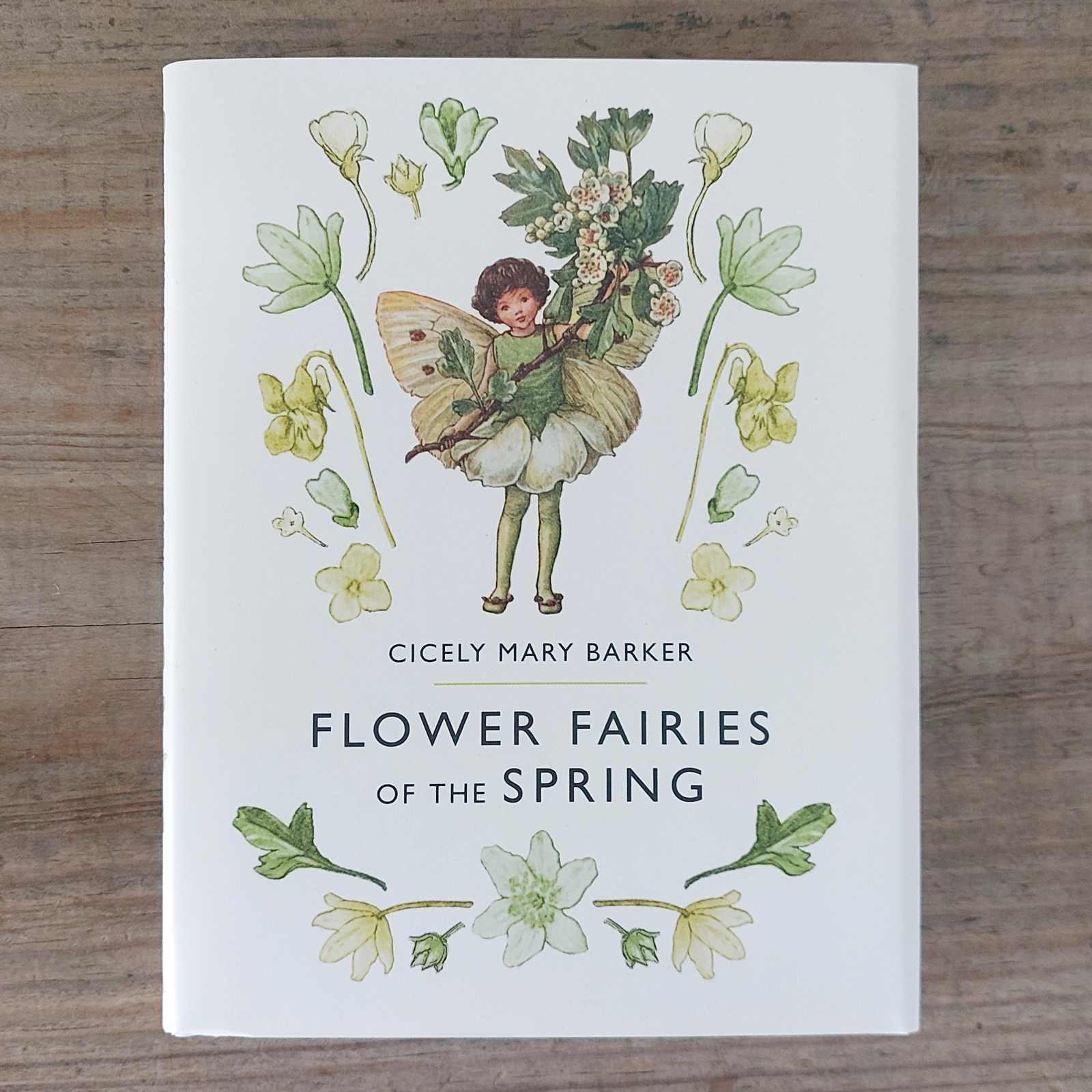 Flower Fairies of The Spring by Cecily Mary Barker