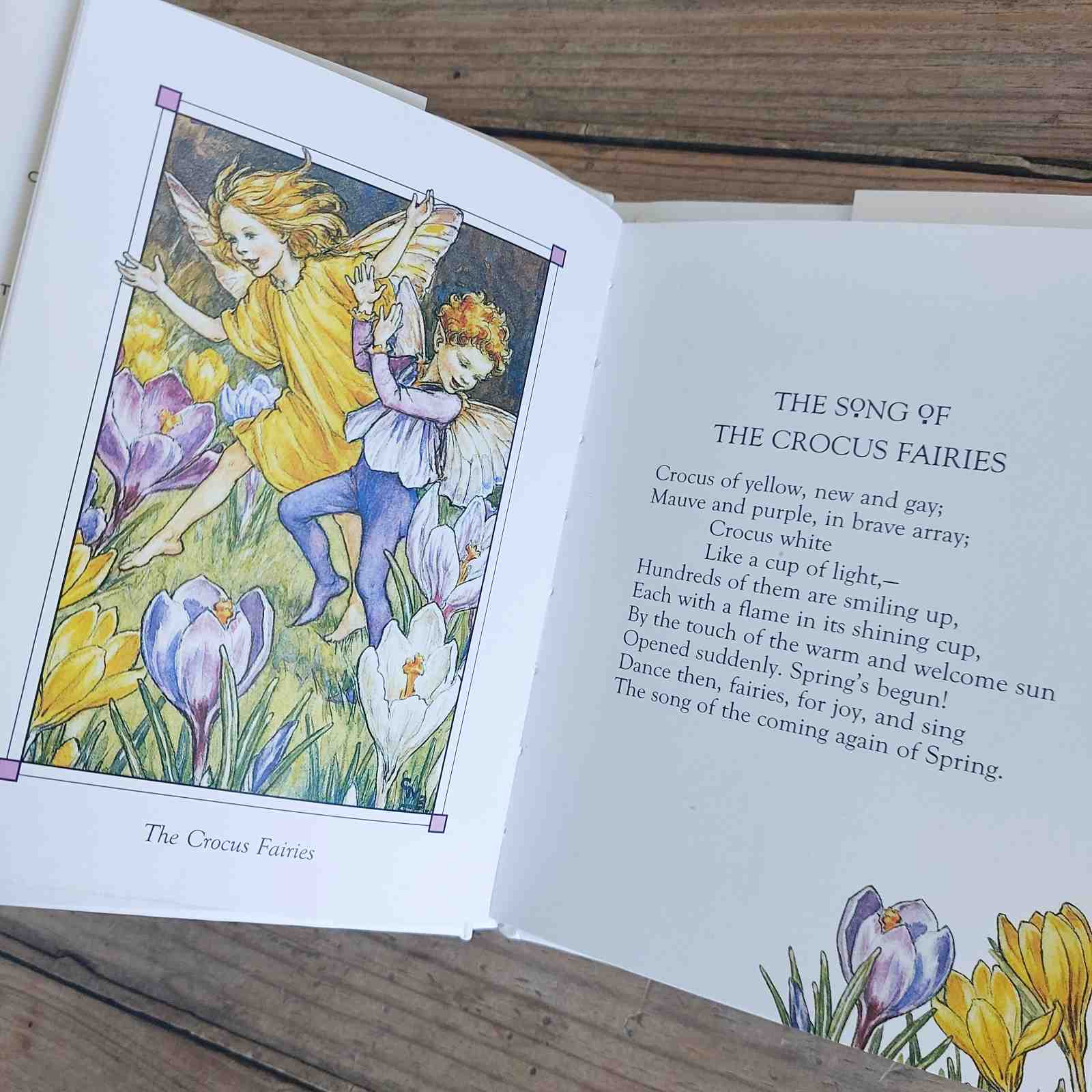 Flower Fairies of The Spring by Cecily Mary Barker