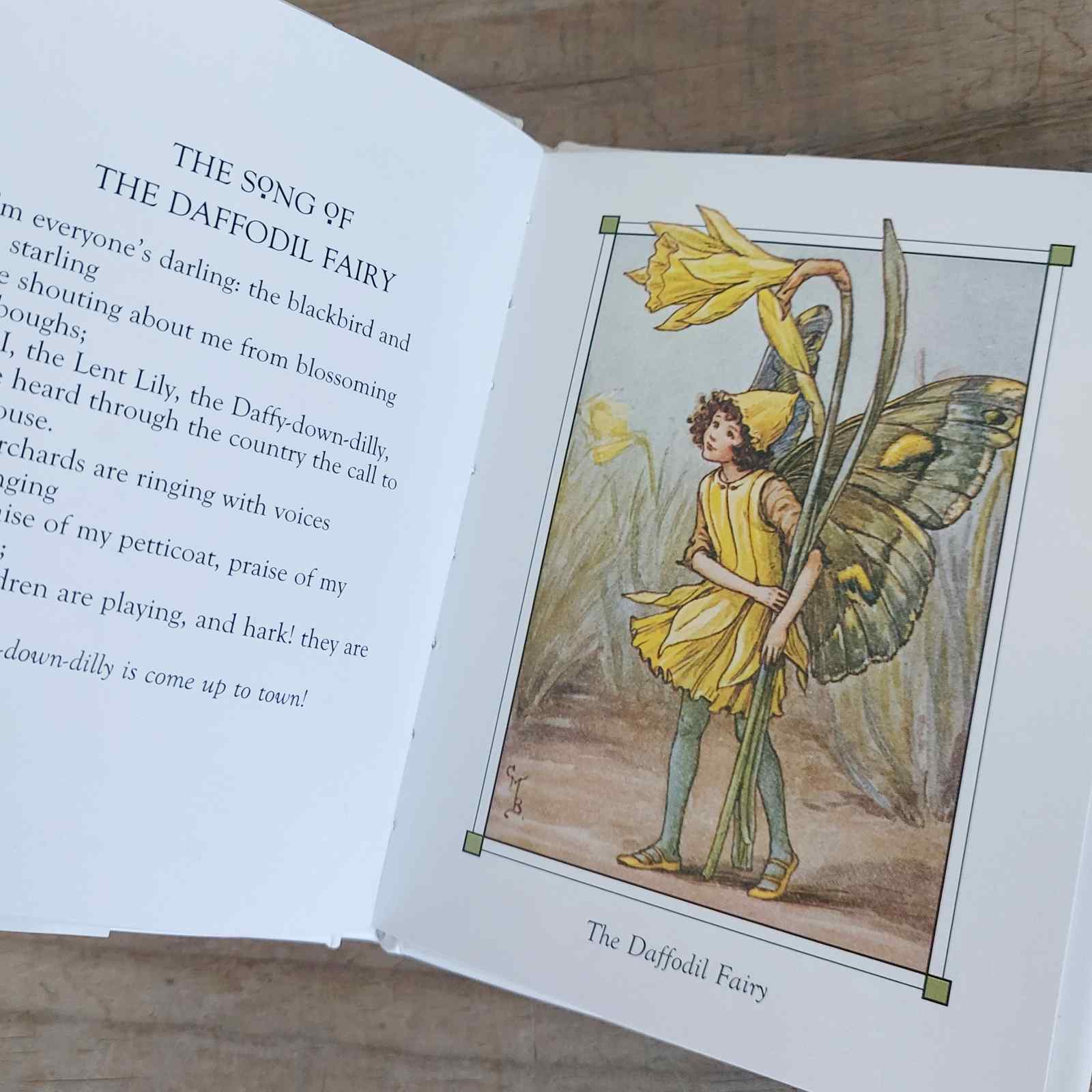 Flower Fairies of The Spring by Cecily Mary Barker