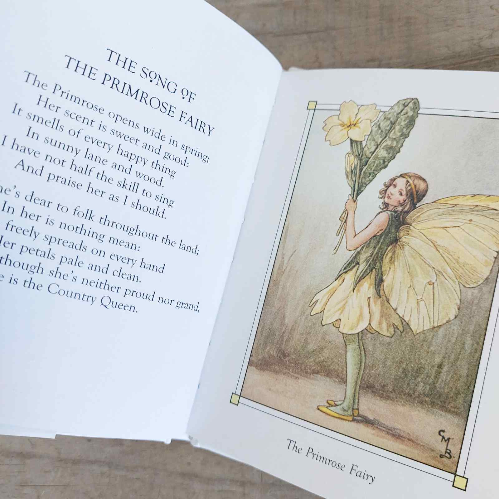 Flower Fairies of The Spring by Cecily Mary Barker