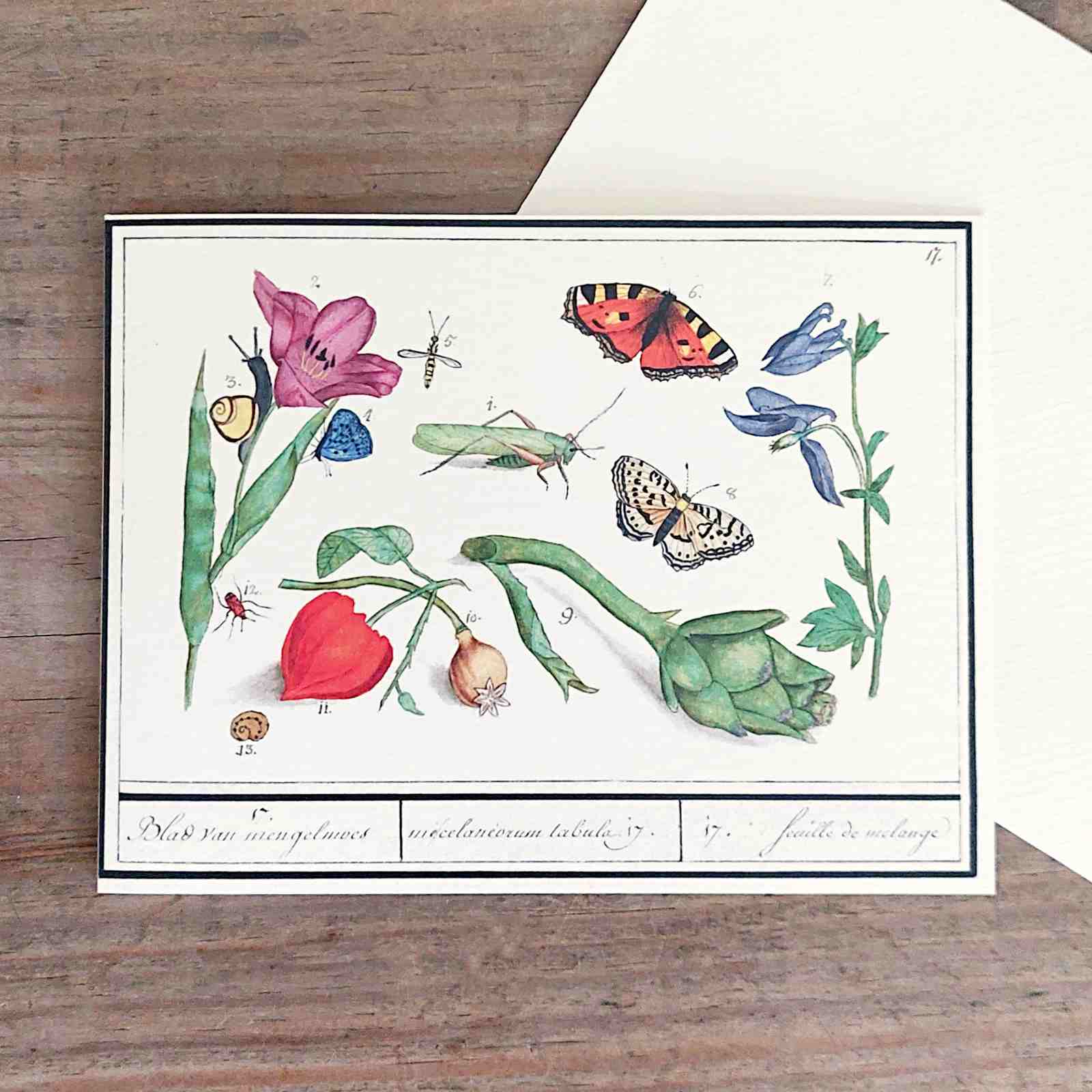 In The Garden - Petite Vintage Greeting Card