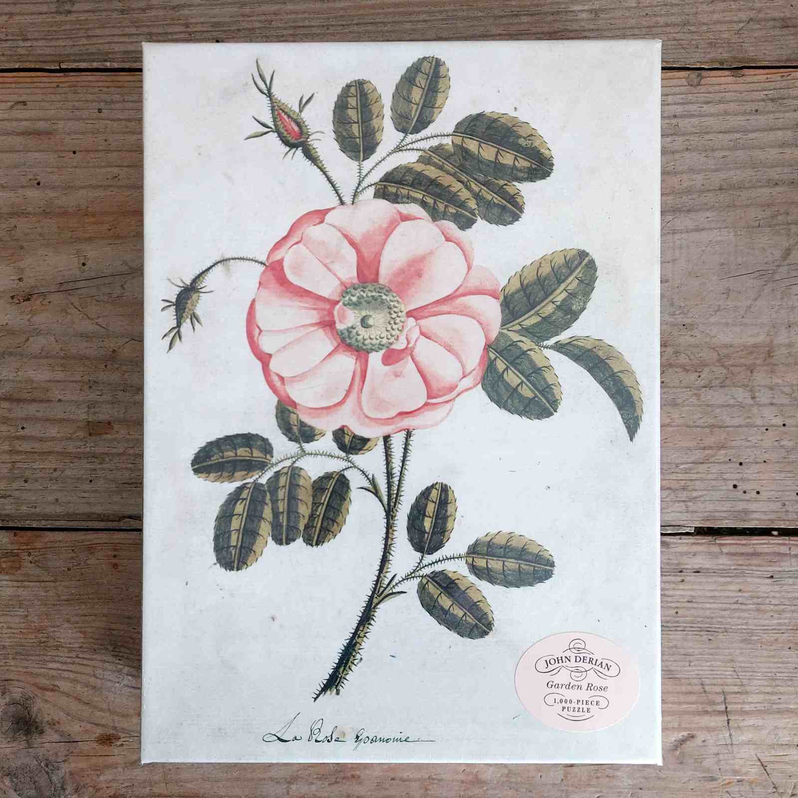 John Derian 1000 Piece Jigsaw Puzzle - Garden Rose