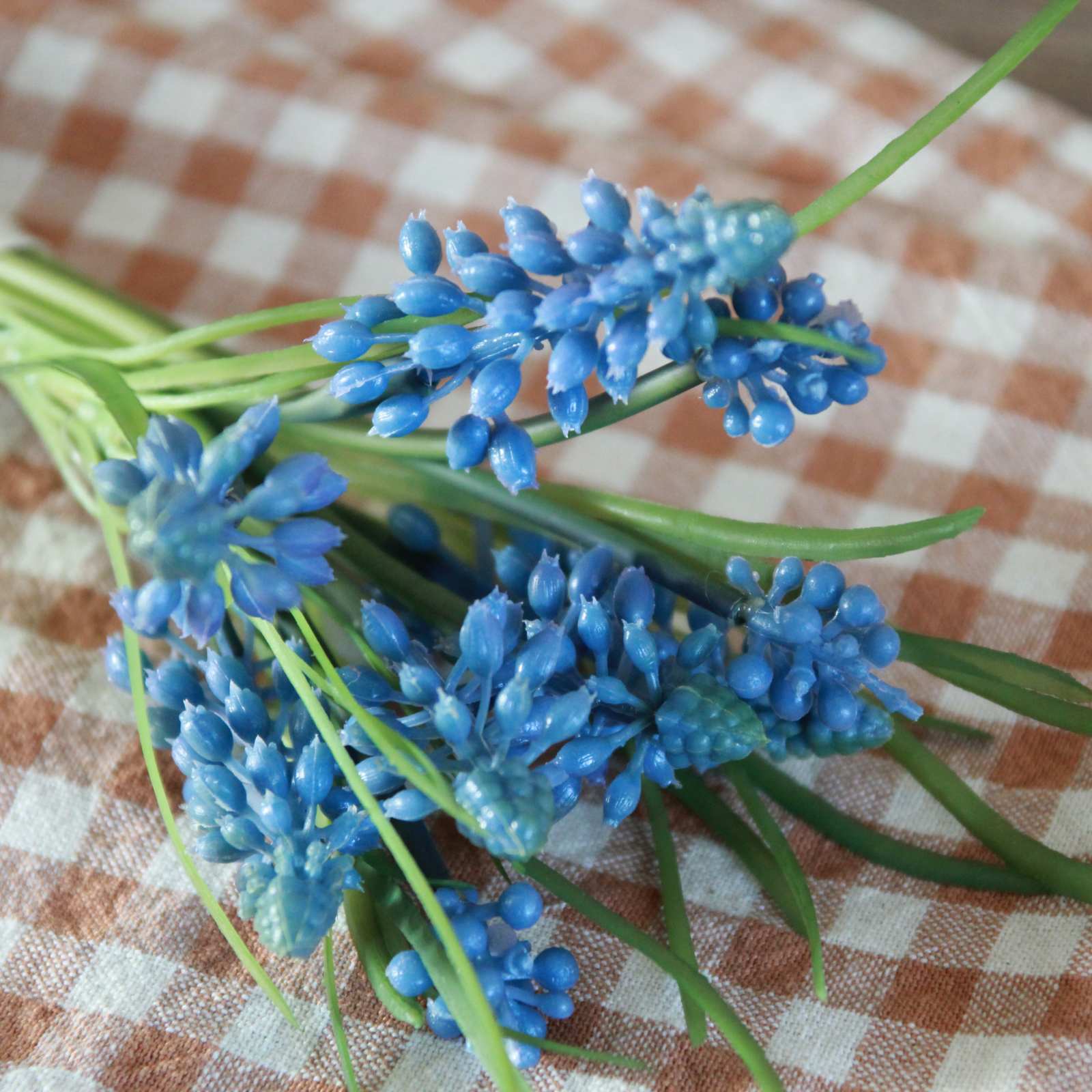 Bunch of Blue Muscari