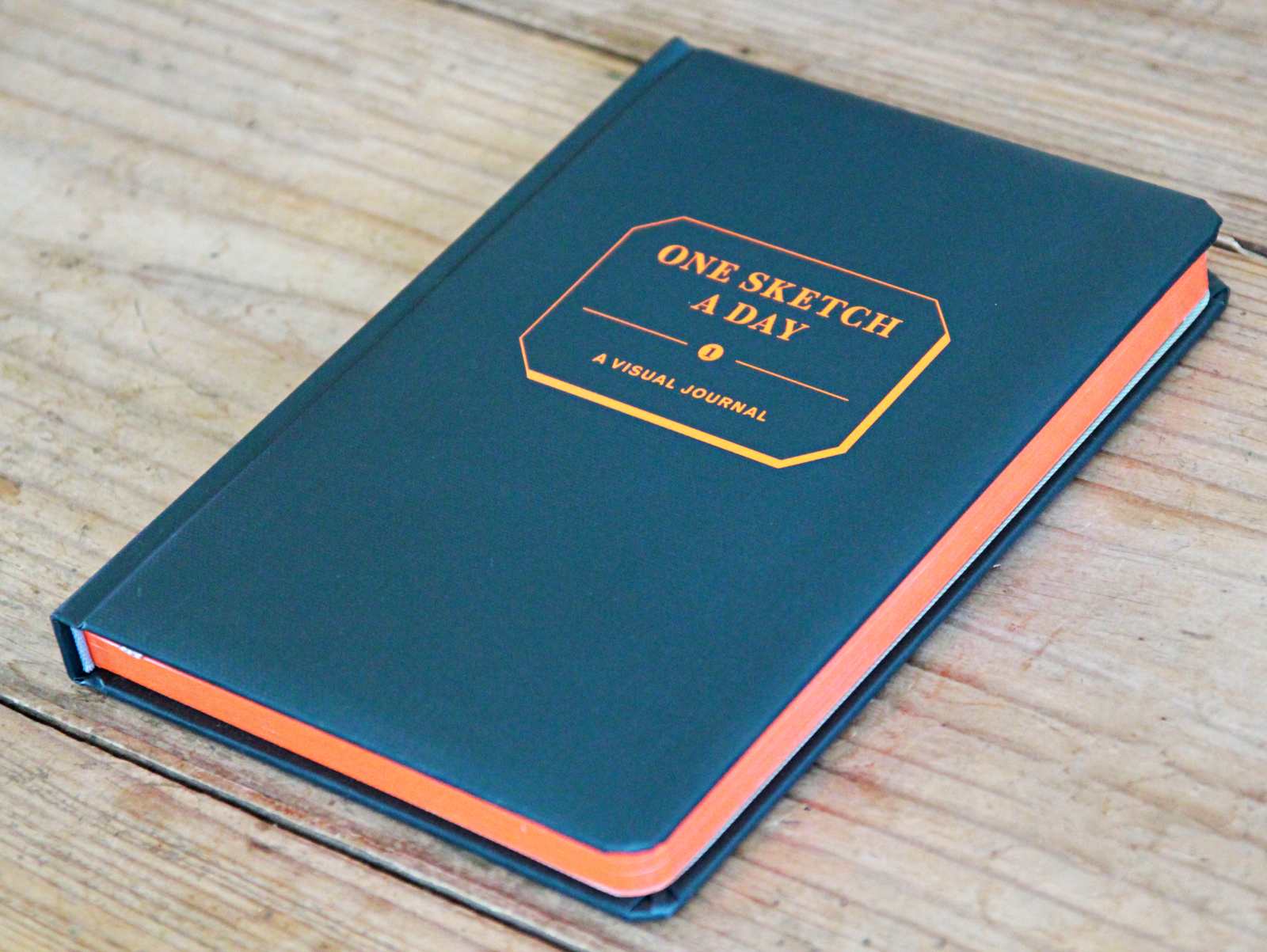 One Sketch A Day - A Visual Journal