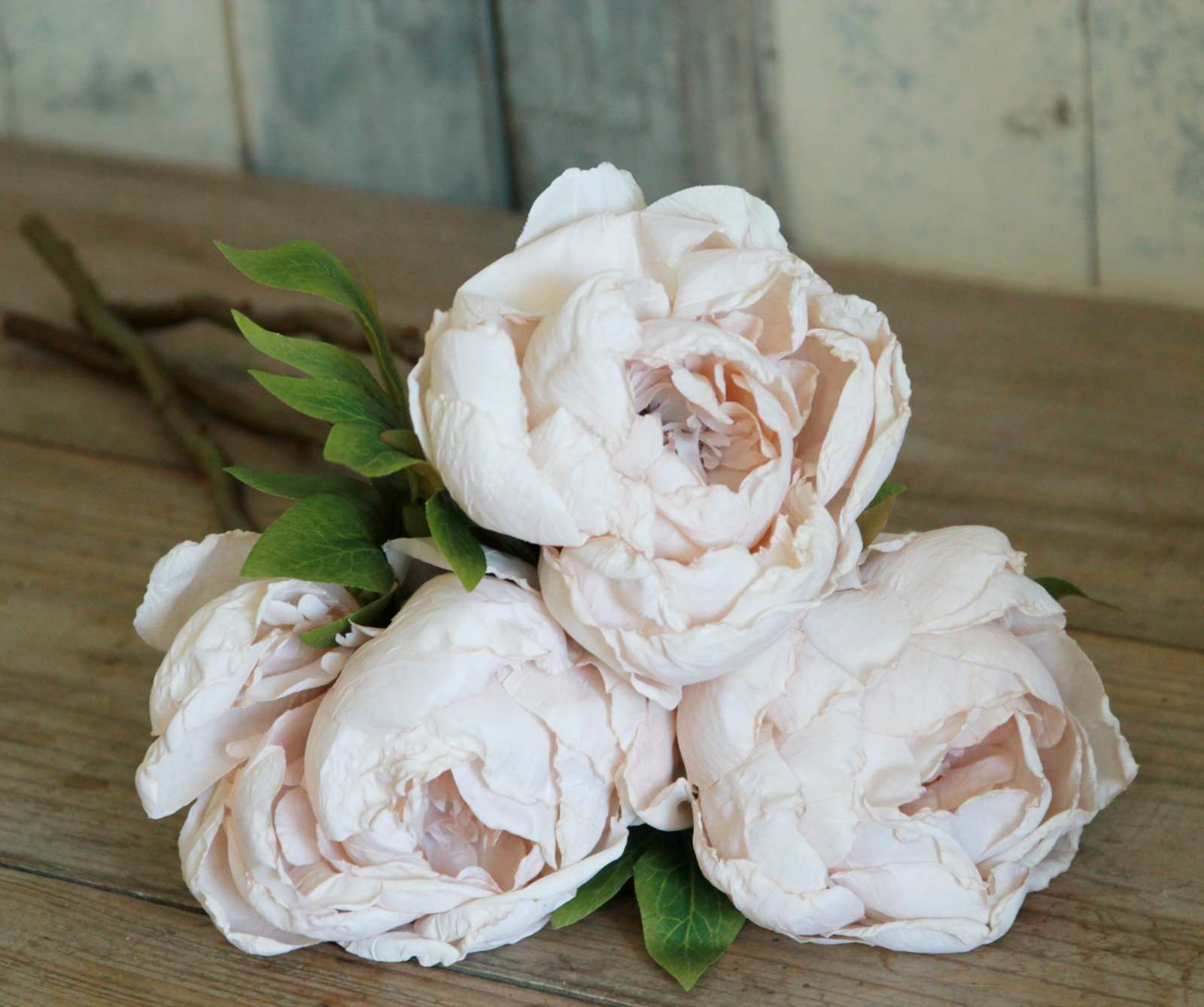 Silk Flower - Dried Peonies - Oyster