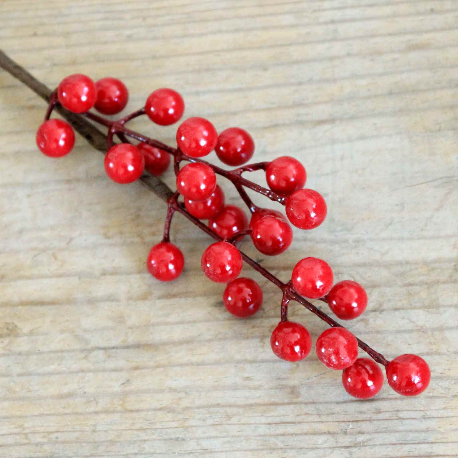 Christmas red berries