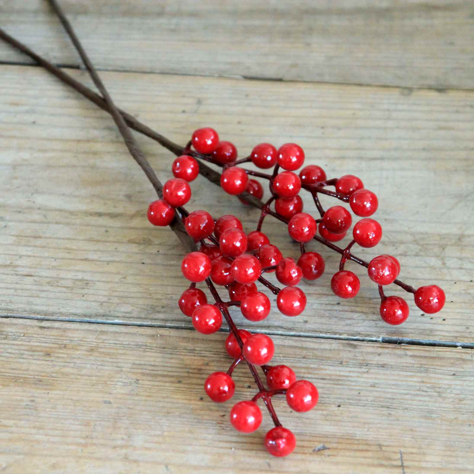 Berry Stem - Red