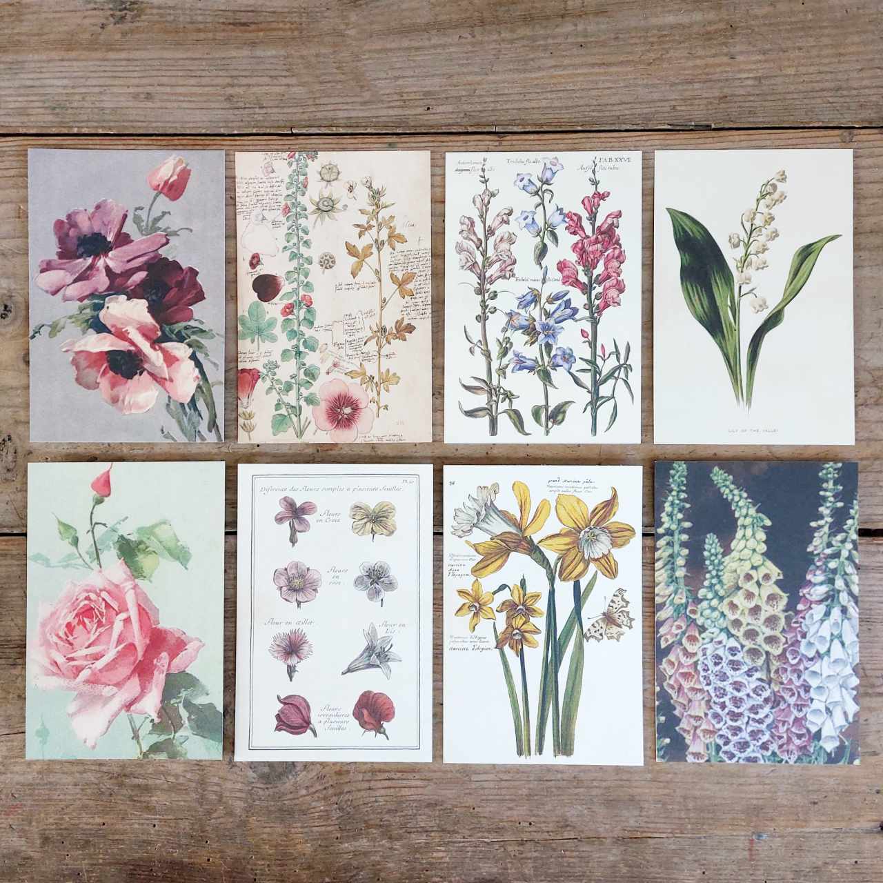 Vintage Flower Postcard