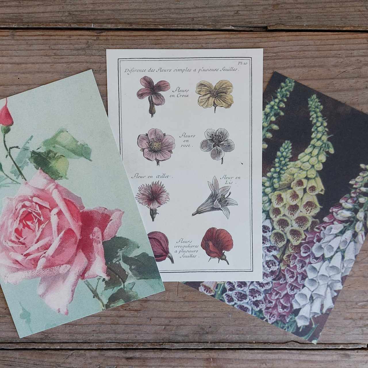 Vintage Flower Postcards