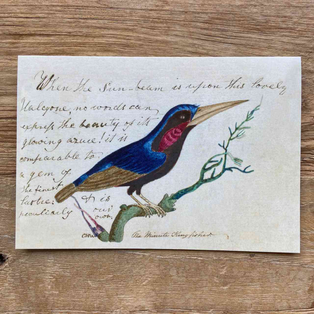 Vintage Bird - Greeting Card