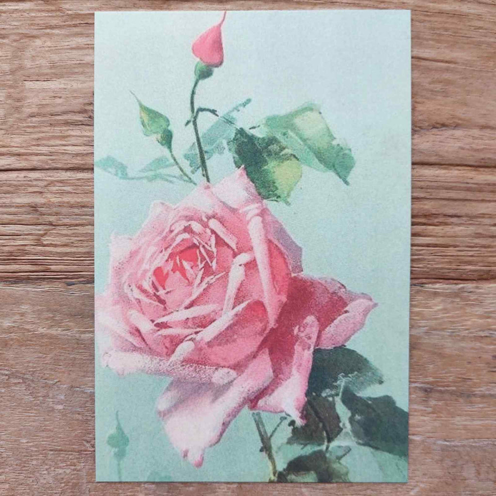 Vintage Flower Postcard Rose