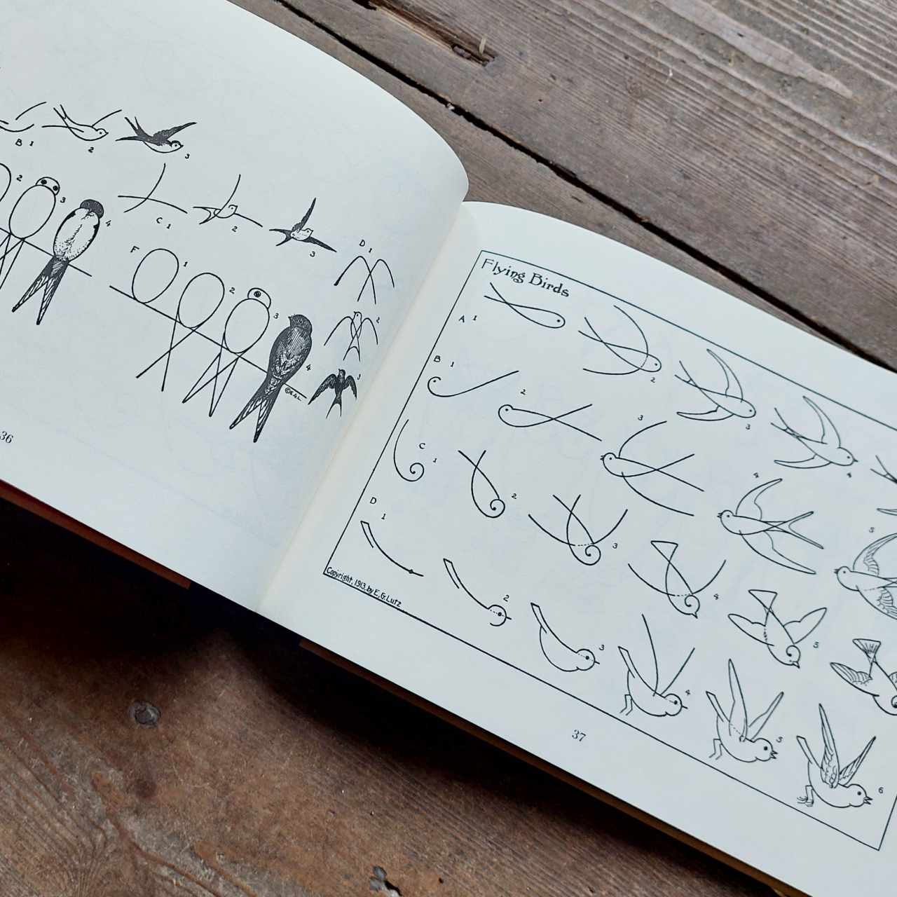 What To Draw and How To Draw It Book