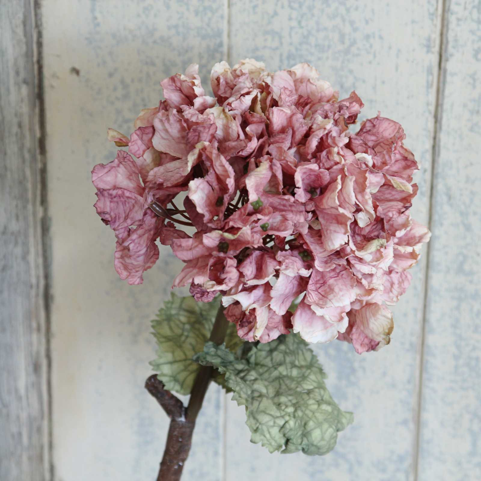 Silk Flower - Vintage Dried Hydrangea in a beautiful Dusty Pink