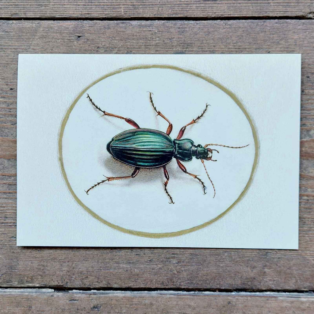 Vintage Beetle - Greeting Card