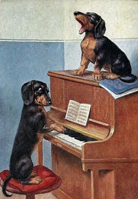 'Dogs Playing' Greeting Card - Homeware Store