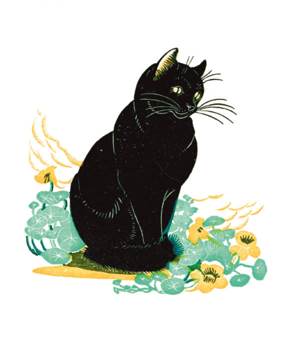 Lucky Cat Good Luck Card, black cat Greeting Card
