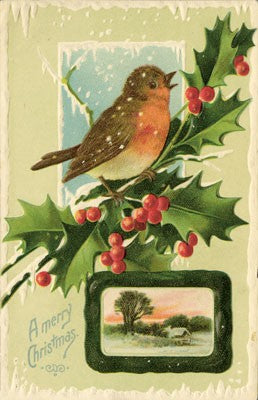 The Robin : A Biography - Stephen Moss - Homeware Store