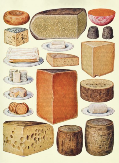 Vintage card 'Types of Cheese' detail