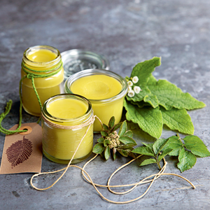 herbal remedies book The Handmade Apothecary page