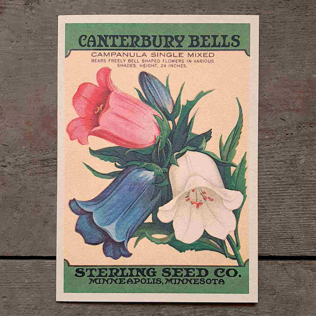Canterbury Bells Greeting Card - beautiful reproduction of a vintage seed packet