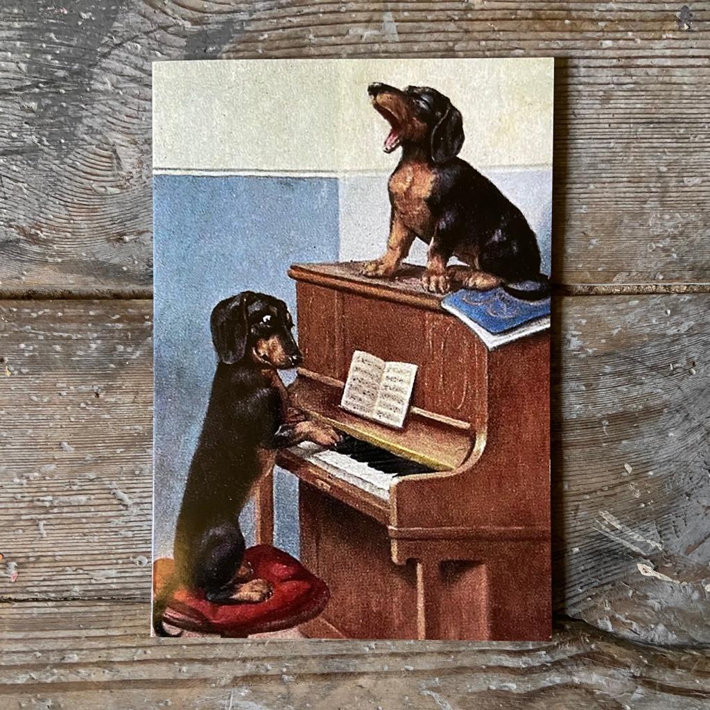 'Dogs Playing' Greeting Card - Homeware Store. Vintage cards