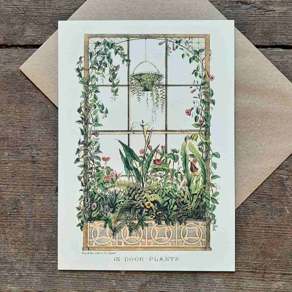 Greeting Card - Indoor Plants