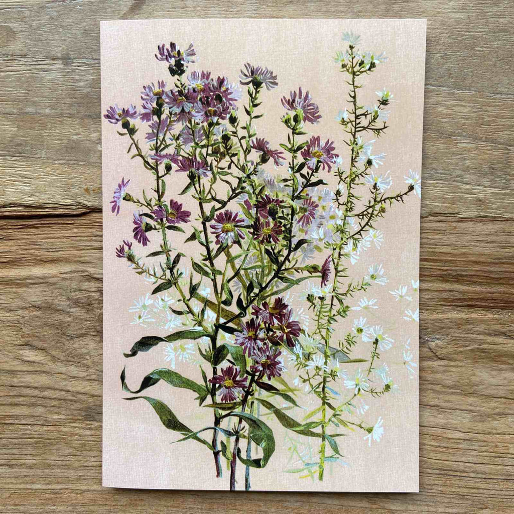 Purple & White Daisy Vintage Greeting Card 