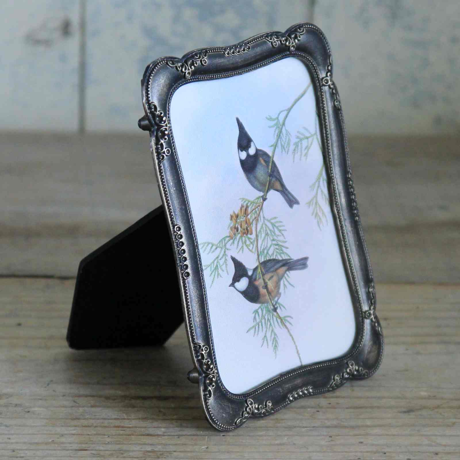 Antique Bronze Rectangle Frame - Bird Illustration