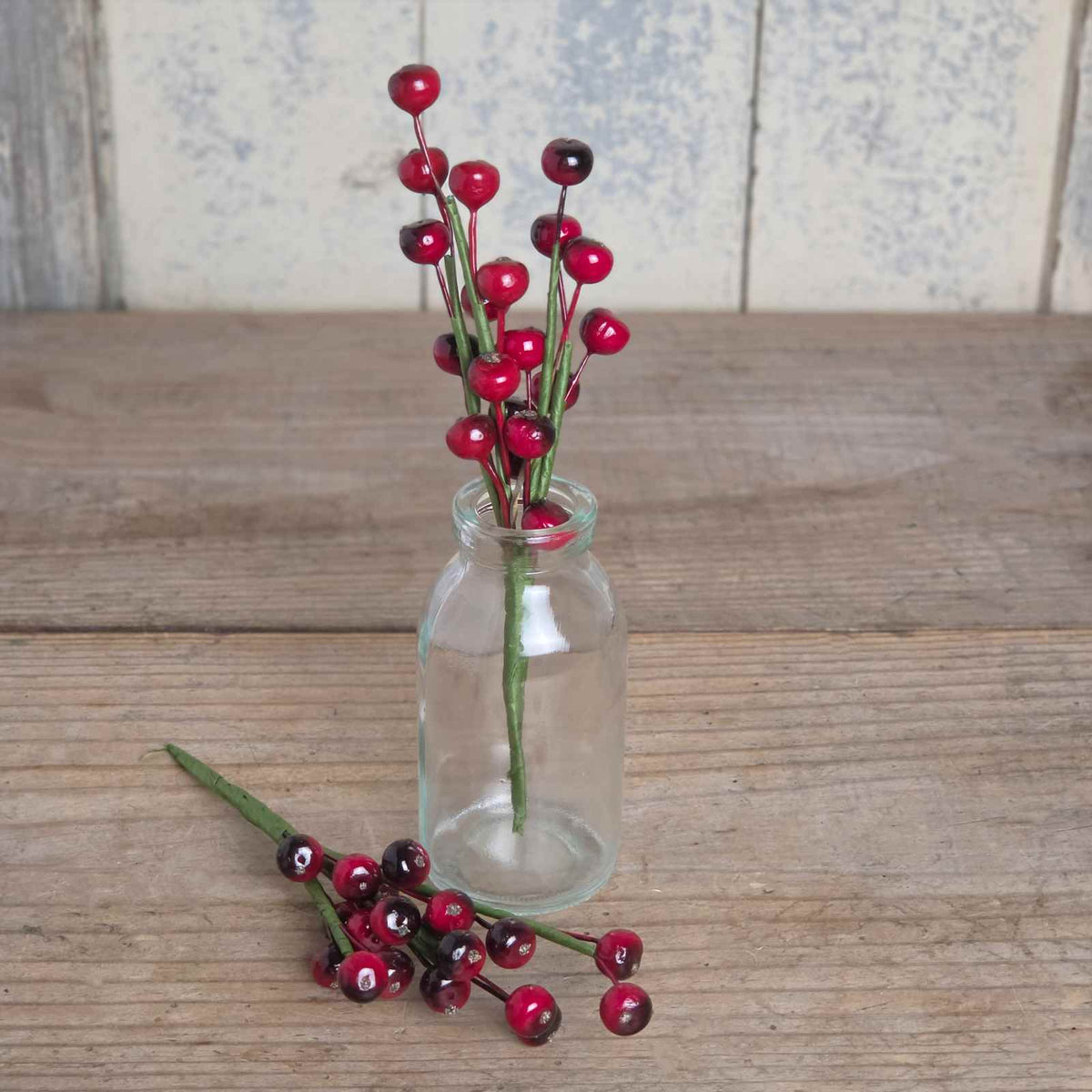 Small Red Berry Stem