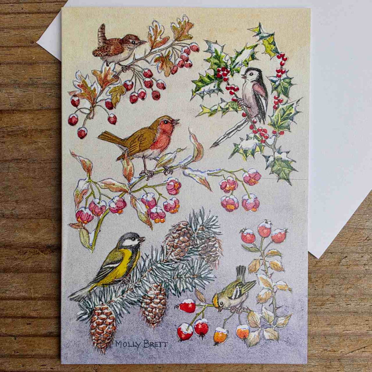 Traditional Christmas Card Pack - Birds on Branches, a beautiful illustration by Molly Brett. Pack of 5 Traditional Christmas Cards with white envelopes.