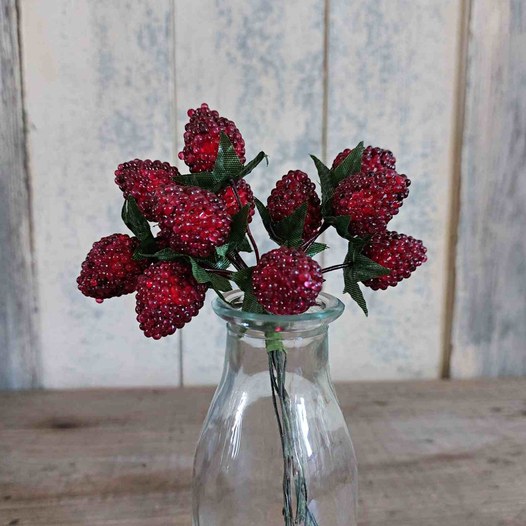 Blackberry Pick, lovely for an Autumn posy, wreath or garland