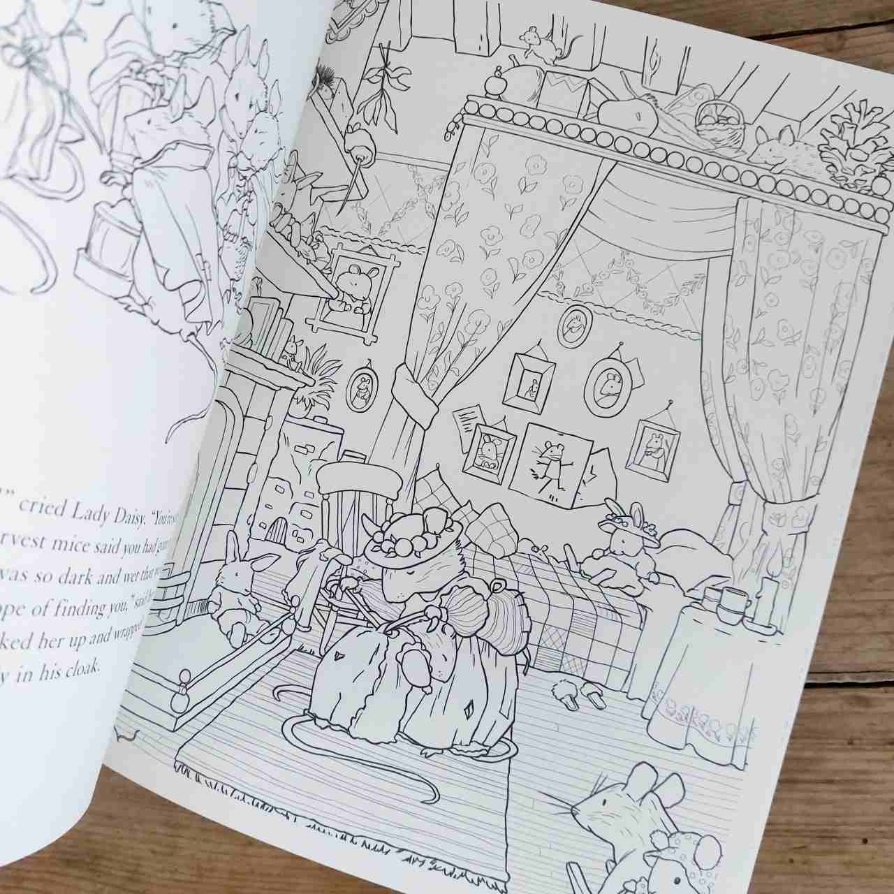 Brambly Hedge Festive Colouring Book