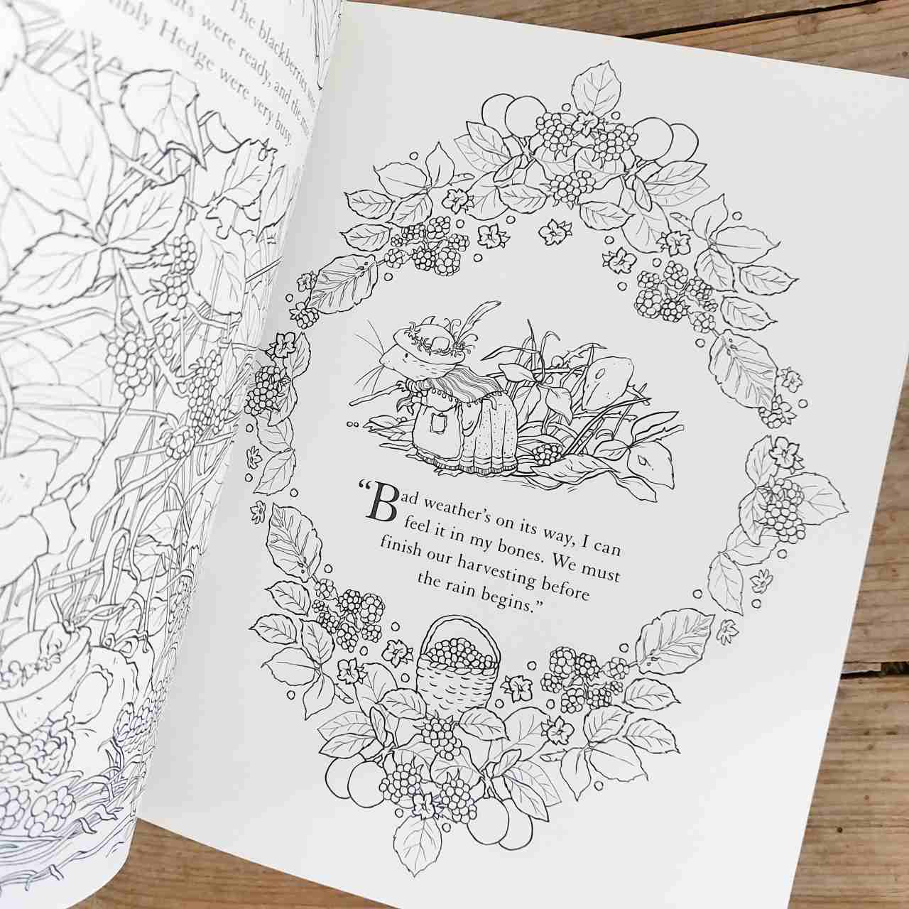 Brambly Hedge Festive Colouring Book