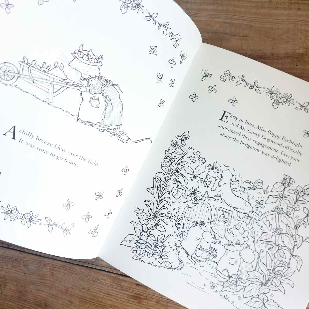 Brambly Hedge Nature Colouring Book