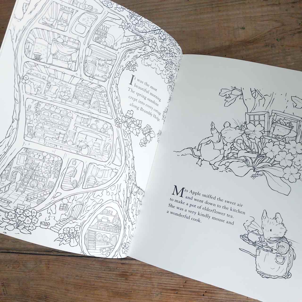 Brambly Hedge Nature Colouring Book
