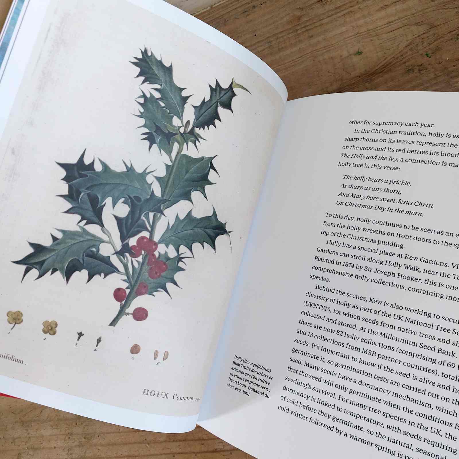Kew Gardens Christmas Book by Jenny Linford
