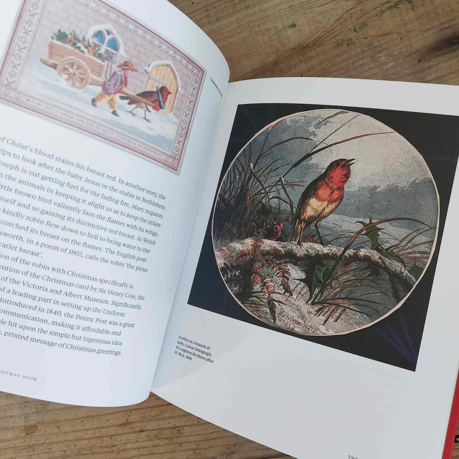 Kew Gardens Christmas Book by Jenny Linford