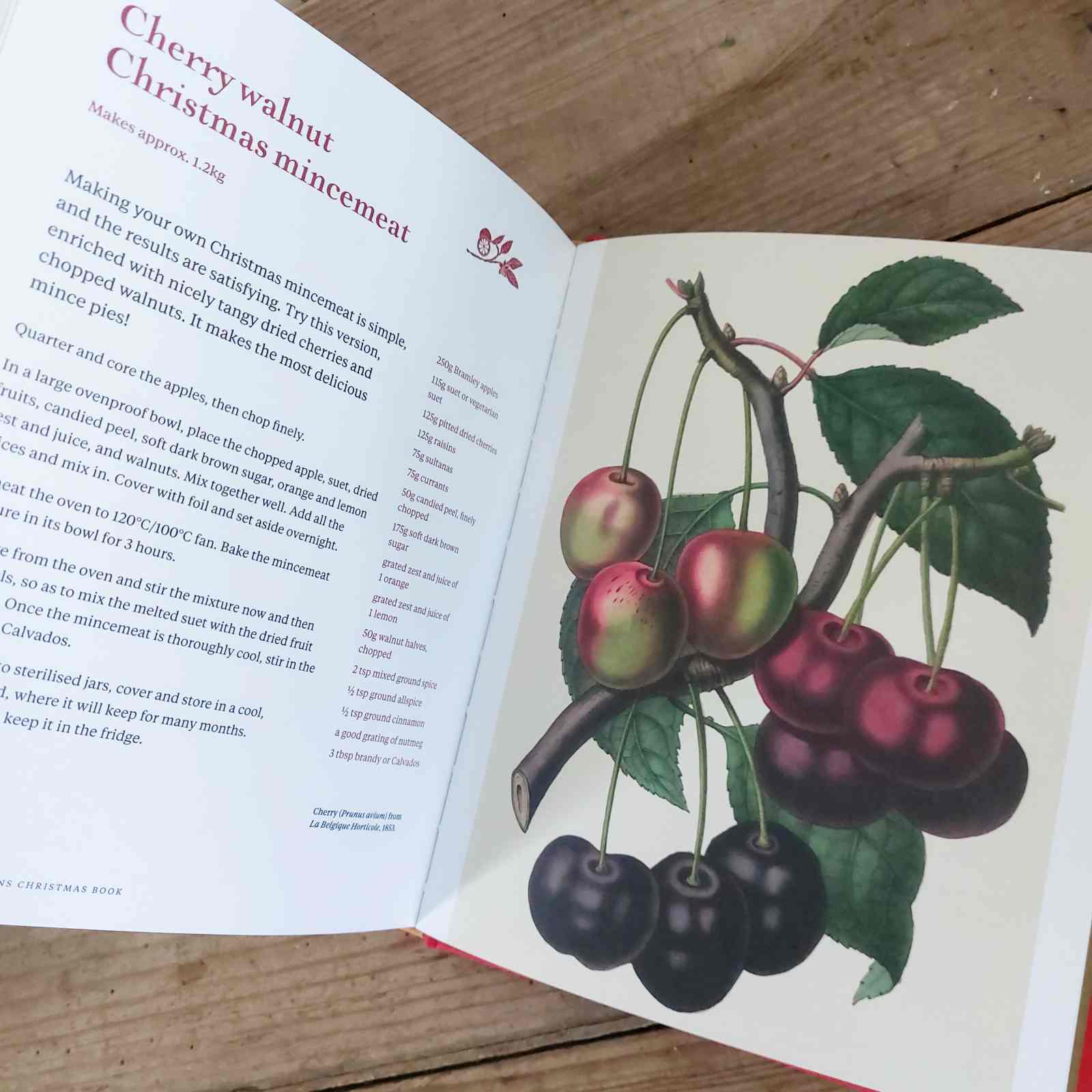 Kew Gardens Christmas Book by Jenny Linford
