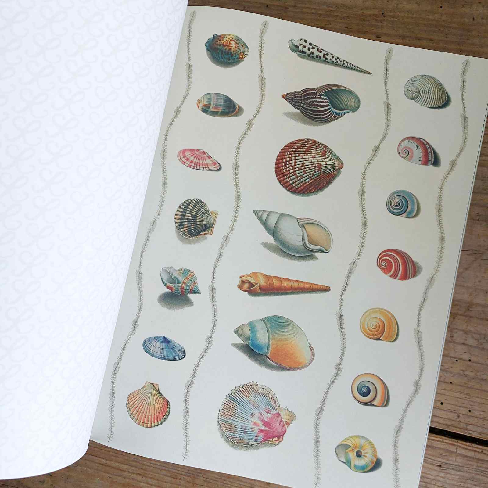 Collage Compendium Book